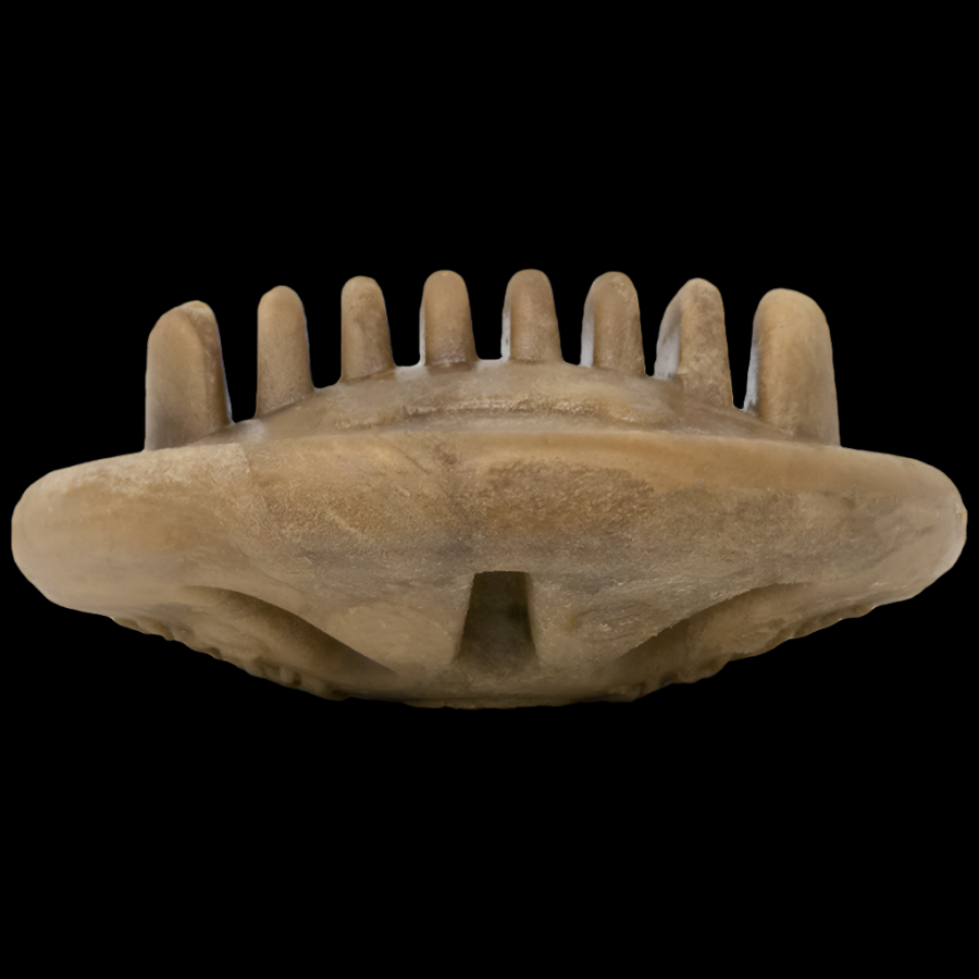 Everlasting TREATS with Dental Ridges