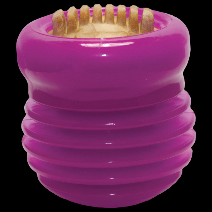 Everlasting TREAT Groovy Ball®