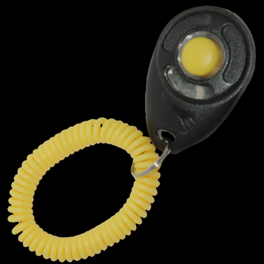 Pro-Training Deluxe CLICKER®