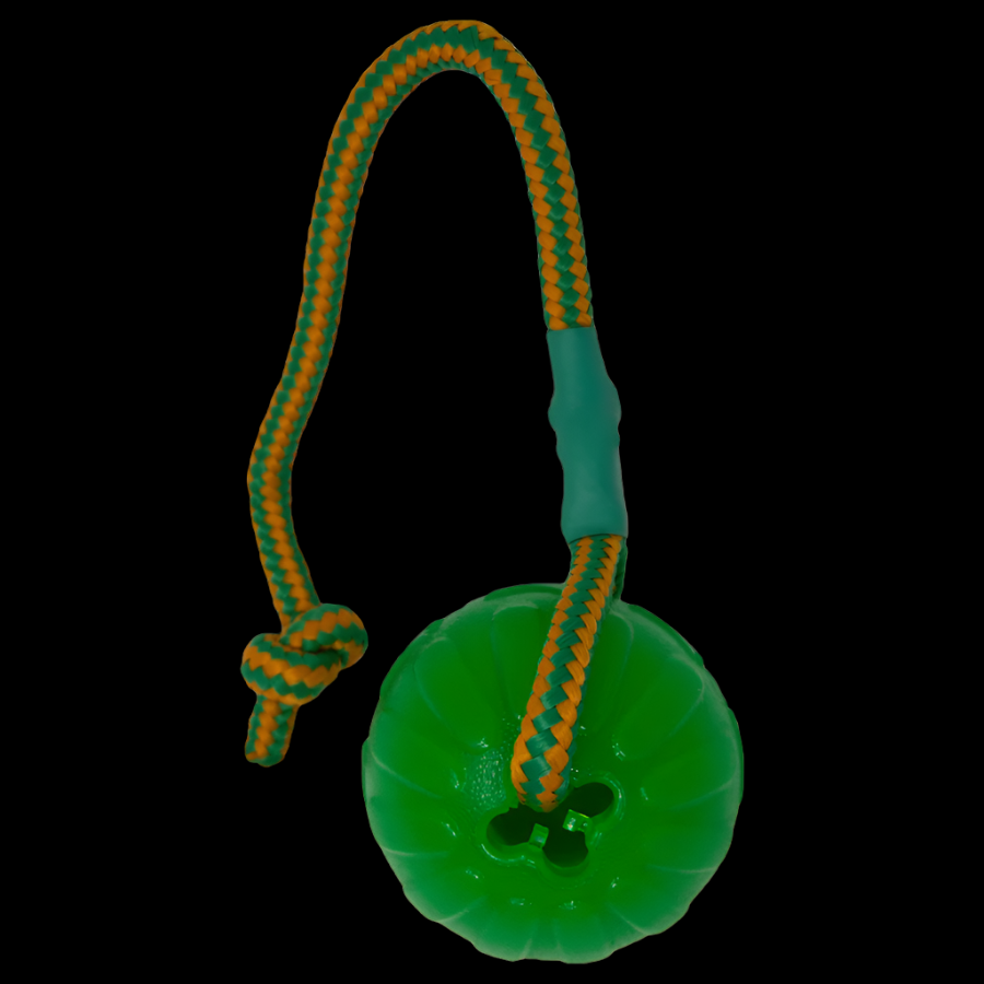 Swing ‘n Fling Chew Ball®
