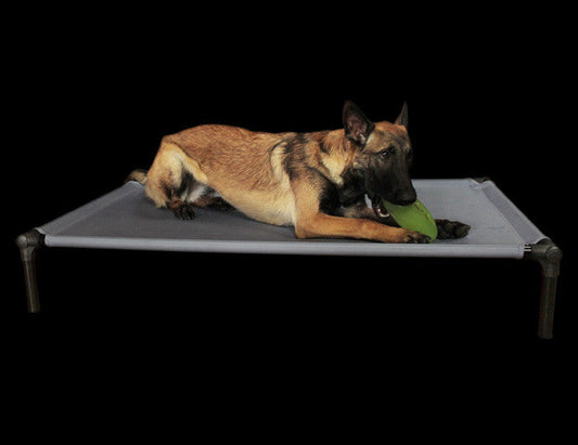 The Dog Zone Pro-Training Bed